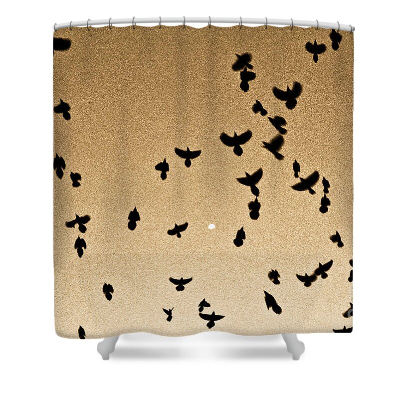 Flock Shower Curtain featuring the photograph A Flight of Grackles Circling the Moon by John Harmon