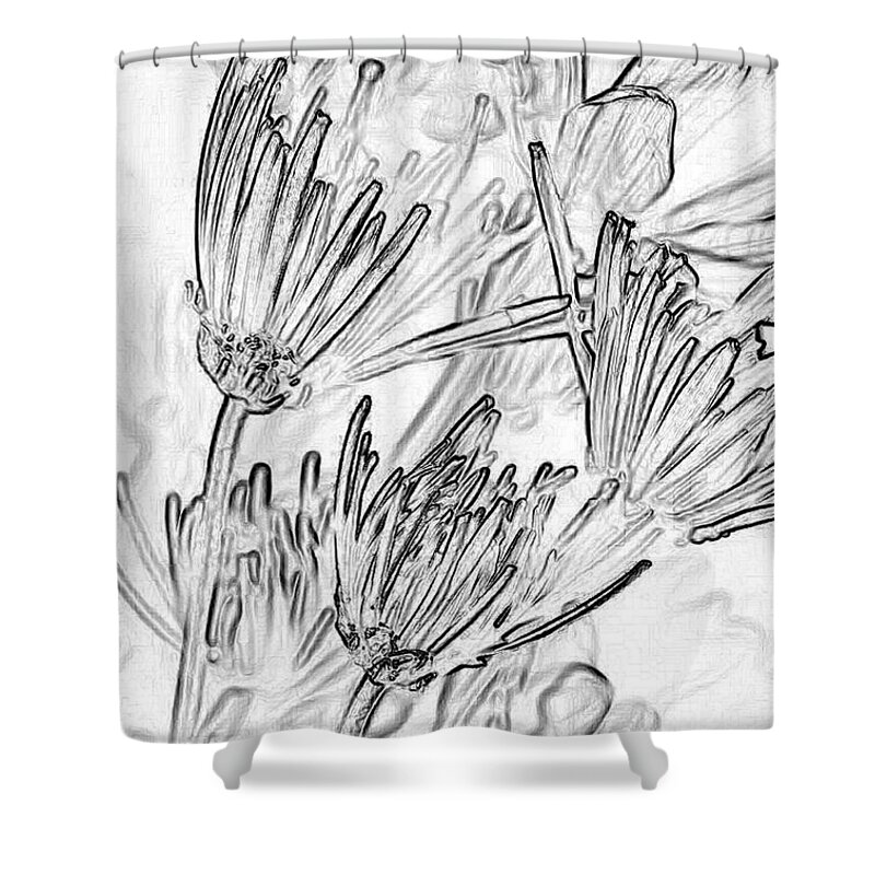 Flowers Shower Curtain featuring the photograph A Flower Sketch by Julie Lueders 