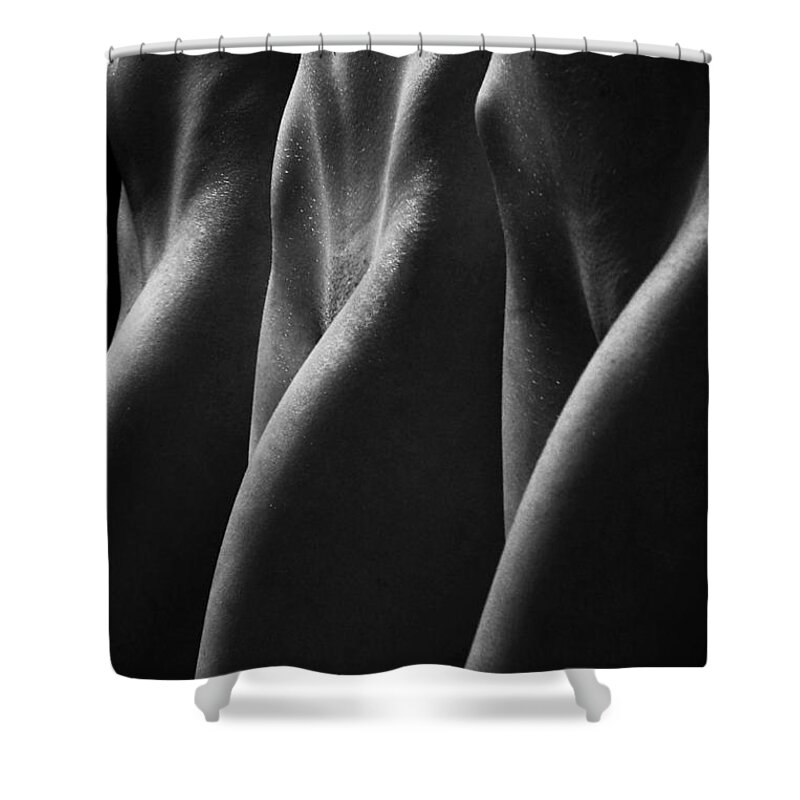 Artistic Shower Curtain featuring the photograph A forest of beauties by Robert WK Clark