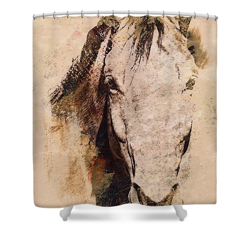 Horse Shower Curtain featuring the photograph A Friendly Face by Clare Bevan
