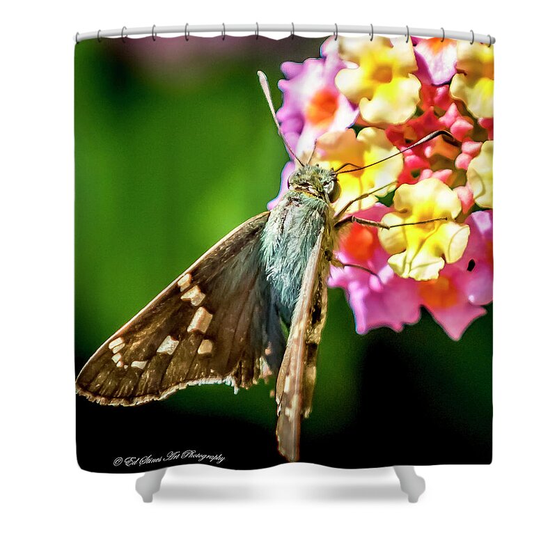Moth Shower Curtain featuring the digital art A Green Moth with brown wings by Ed Stines