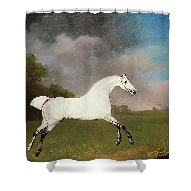 George Stubbs (1724-1806) A Grey Horse Signed And Dated 1793 Shower Curtain featuring the painting A Grey Horse by George Stubbs