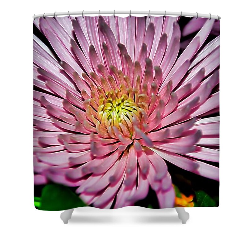 Diana Mary Sharpton Photography Shower Curtain featuring the photograph A Jewel by Diana Mary Sharpton