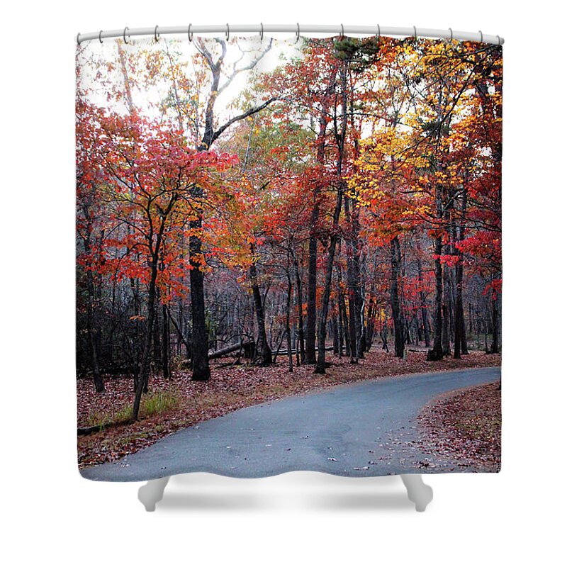 Travel Shower Curtain featuring the photograph A Journey Through Fall by Cynthia Guinn