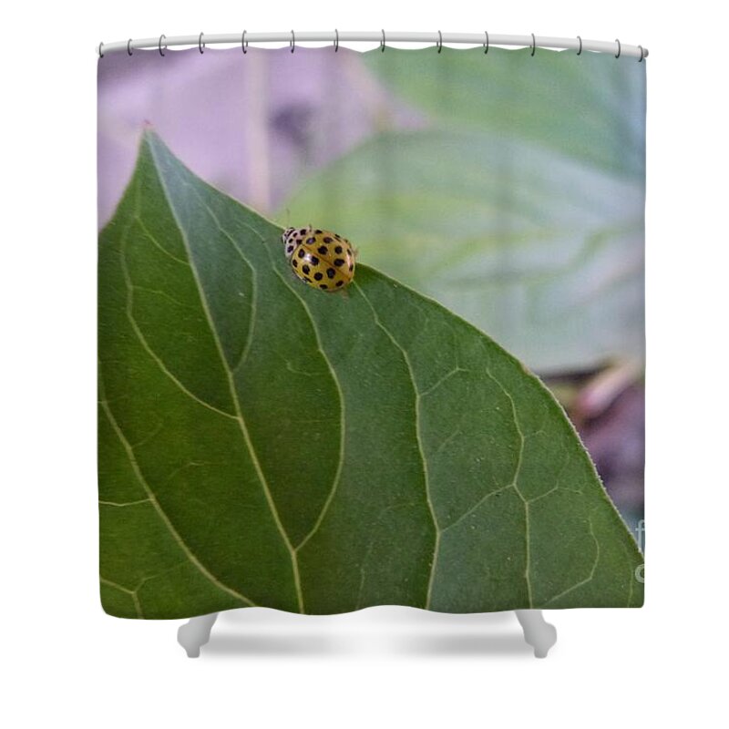 Abloom Shower Curtain featuring the photograph A Ladybug by Jean Bernard Roussilhe