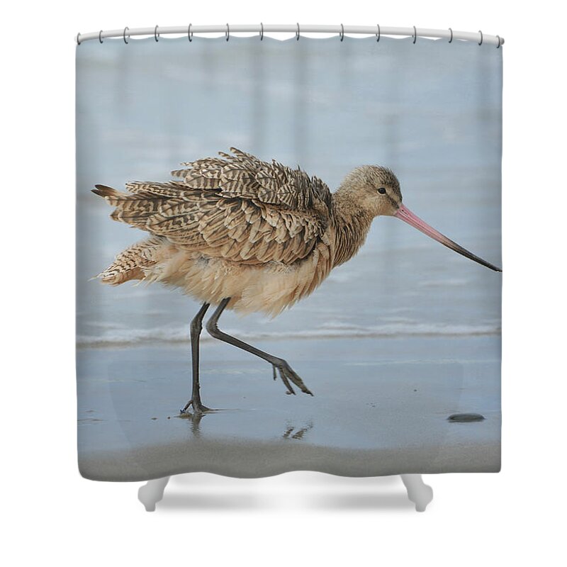 Godwit Shower Curtain featuring the photograph A Little Shimmy 2 by Fraida Gutovich