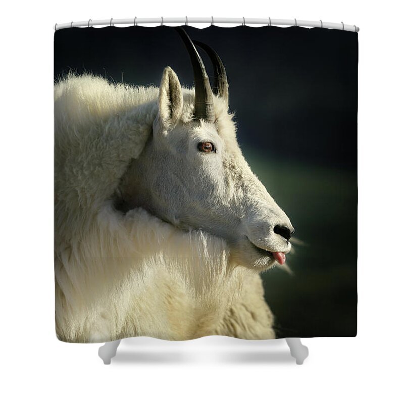 A Shower Curtain featuring the photograph A Little Slip Of The Tongue by Brian Gustafson
