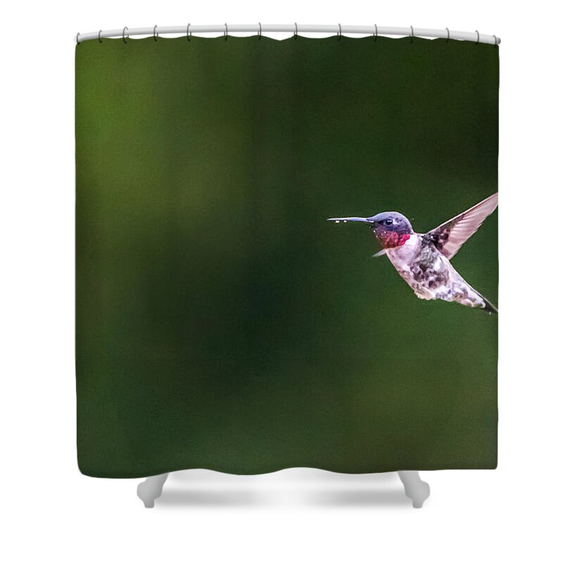 Bird Shower Curtain featuring the photograph A Little Something on the Chin by Steven Santamour