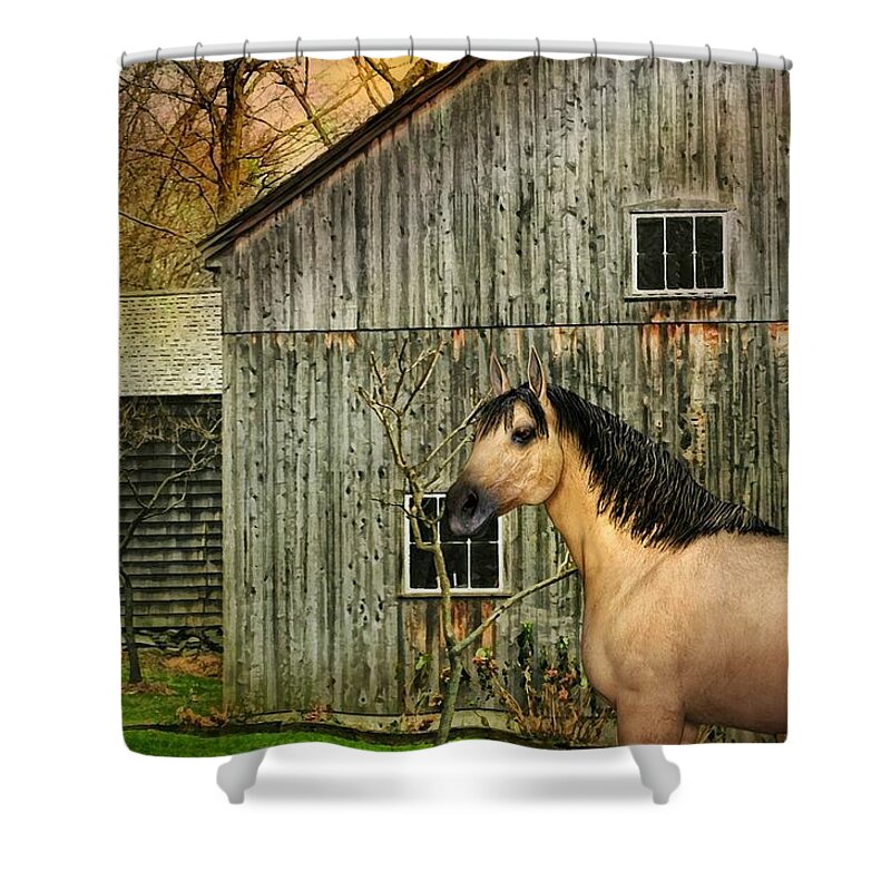  Lucky Shower Curtain featuring the photograph Lucky by Diana Angstadt