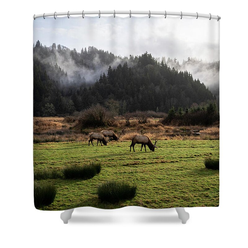 Oregon Shower Curtain featuring the photograph A Moment to Graze by Steven Clark