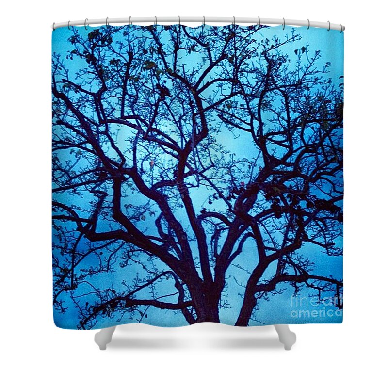 Tree Shower Curtain featuring the photograph A Moody Broad by Denise Railey