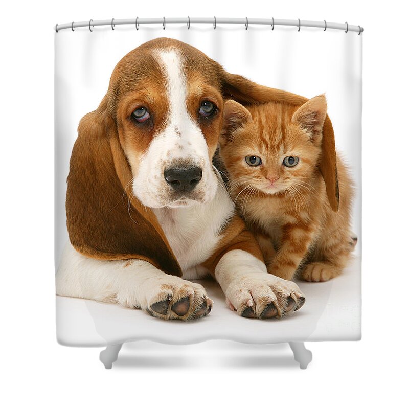 Ginger Shower Curtain featuring the photograph A new meaning to Cat Flap by Warren Photographic