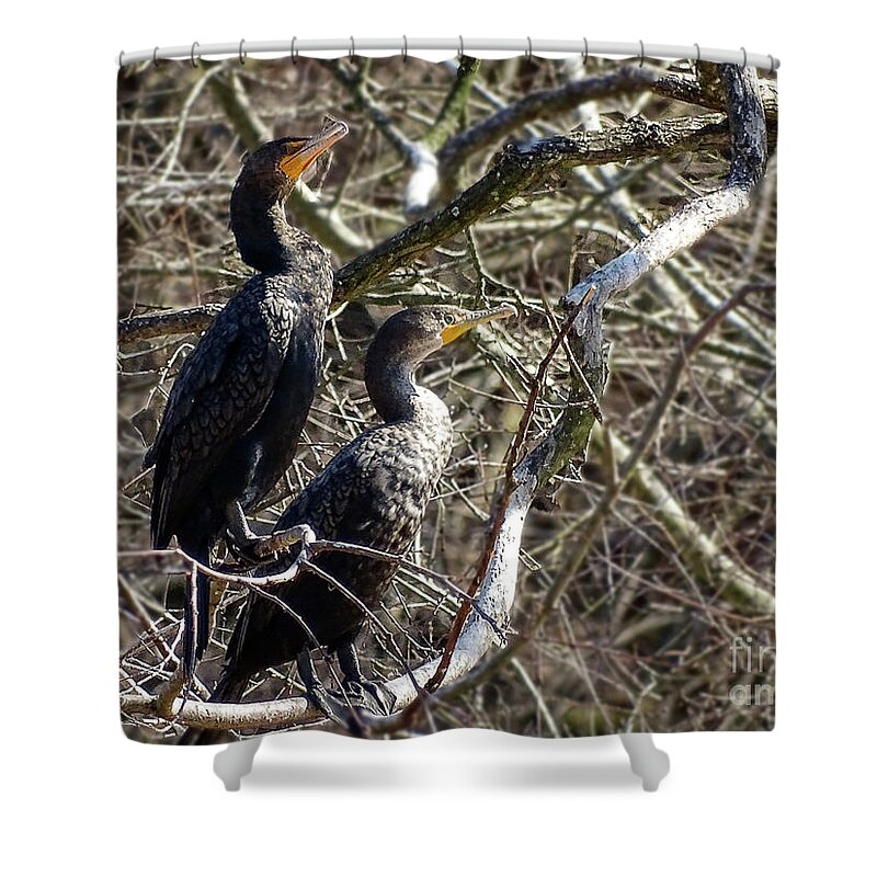 Irds Shower Curtain featuring the photograph A Pair Of Cormorants by Melissa Messick