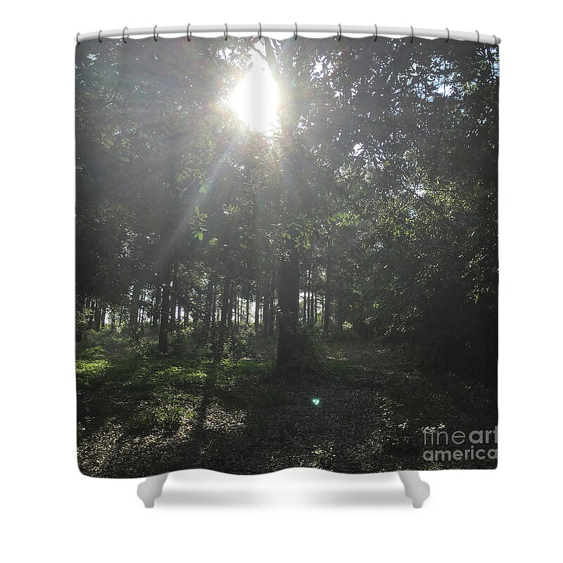 Cross Shower Curtain featuring the photograph A Perfect Cross Morning by Matthew Seufer