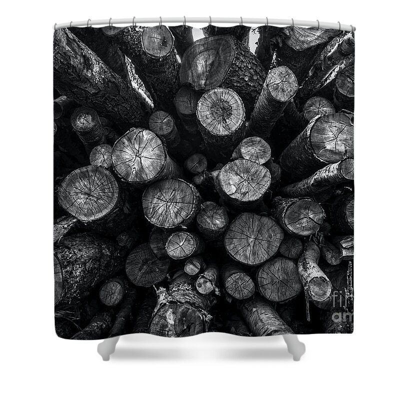 Log Pile Shower Curtain featuring the photograph A Pile of Logs by James Aiken