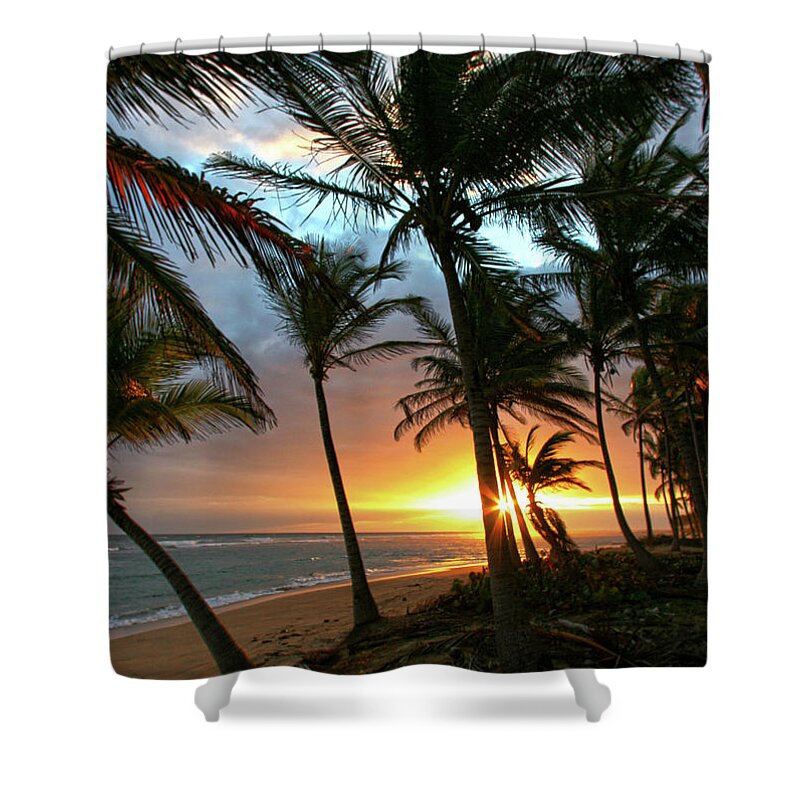 Palms Shower Curtain featuring the photograph A Place I Know by Robert Och