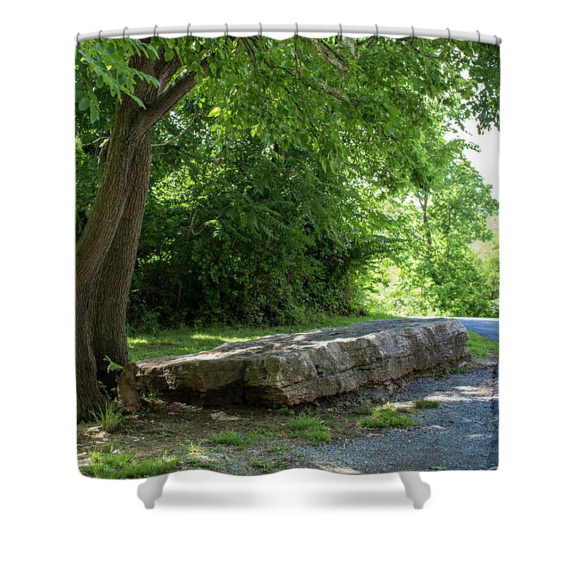 Park Shower Curtain featuring the photograph A Place to Rest by K Bradley Washburn