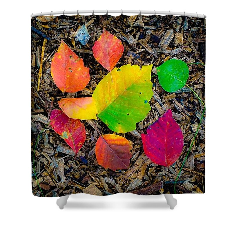 Fall Landscape Photograph Shower Curtain featuring the photograph A Pop of Fall by Desmond Raymond