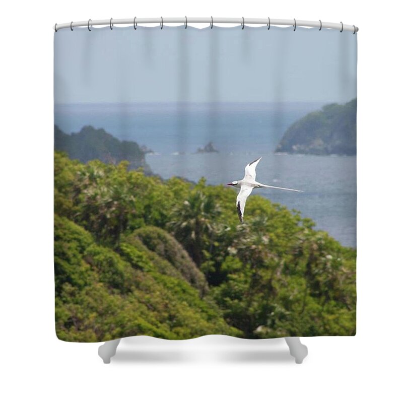 Tropicbird Shower Curtain featuring the photograph A Red-billed Tropicbird (phaethon by John Edwards