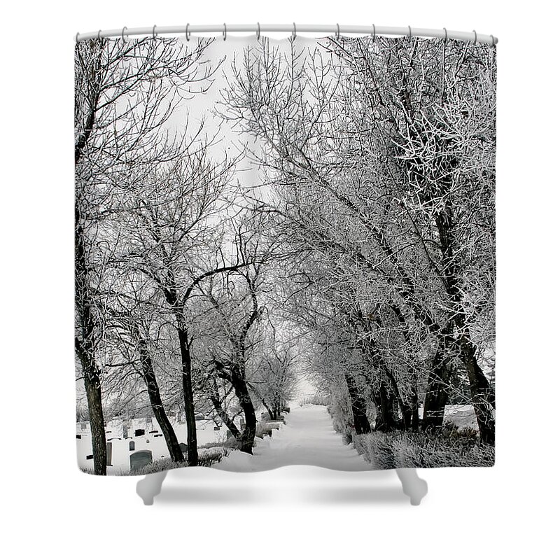 Photograph Shower Curtain featuring the photograph A Reminder by Rhonda McDougall