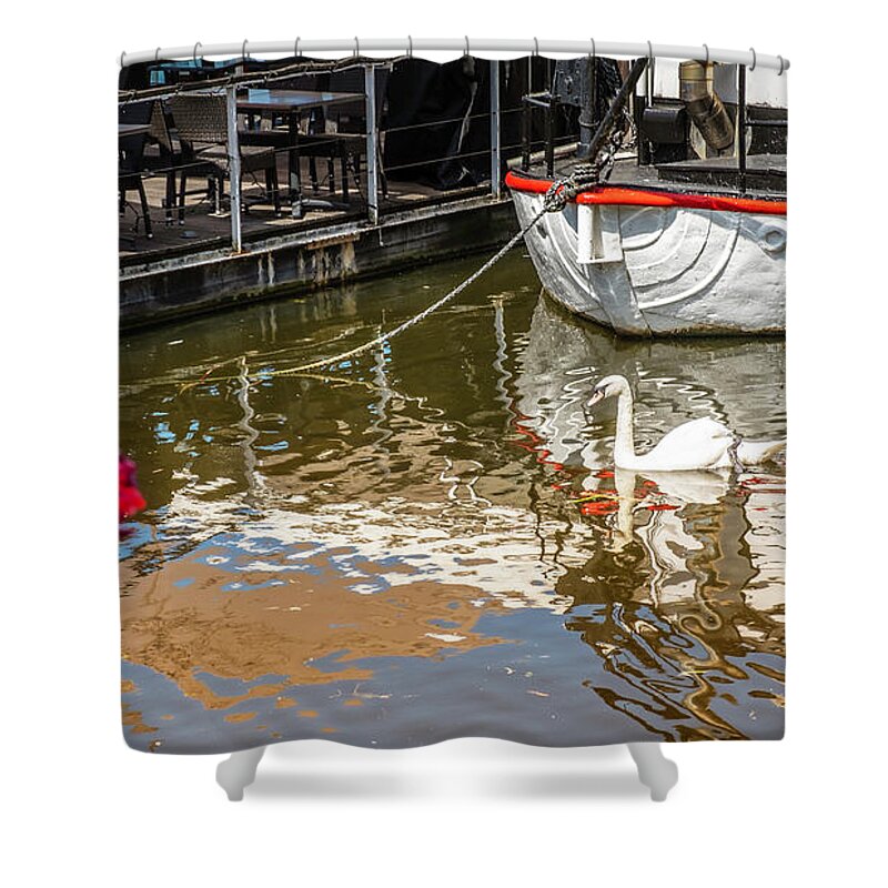 A Single Swan On The Lake By Marina Usmanskaya Shower Curtain featuring the photograph A single swan on the lake by Marina Usmanskaya