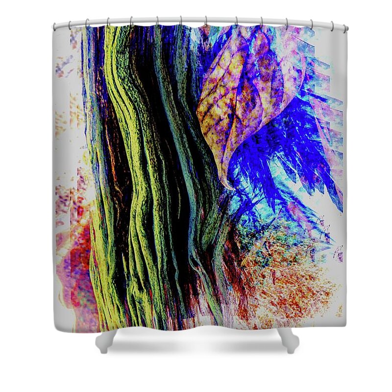 Wood Shower Curtain featuring the photograph A Slice of the Forest by Ches Black