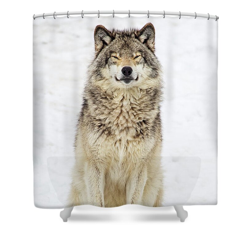 Nina Stavlund Shower Curtain featuring the photograph A Smile for You.. by Nina Stavlund