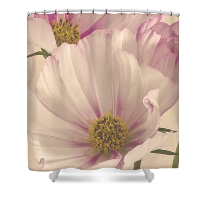Cosmo Shower Curtain featuring the photograph A Special Thank You - Card by Sandra Foster