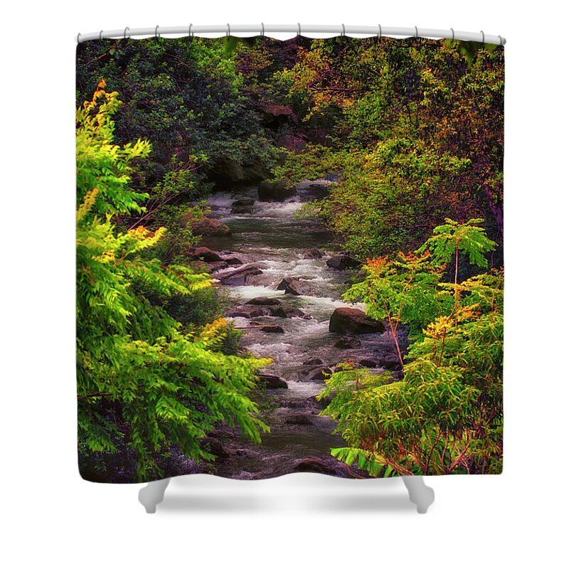 Akaka Falls Shower Curtain featuring the photograph A Stream Runs Through It by Linda Tiepelman