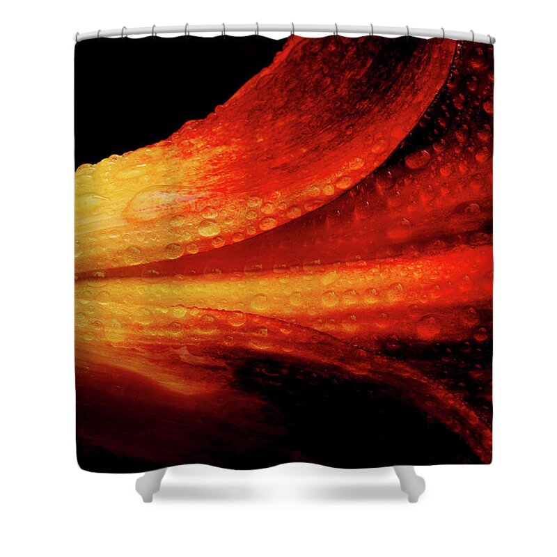Lily Shower Curtain featuring the photograph A Summer Time Lily by Mike Eingle