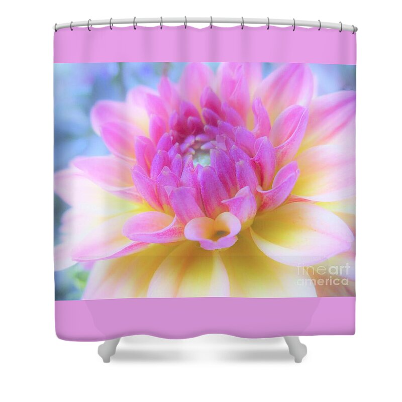 Dahlia Shower Curtain featuring the photograph A Symphony of Light by Sharon Ackley
