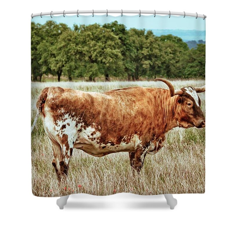 Longhorn Shower Curtain featuring the photograph A Texas Legend by Linda Unger