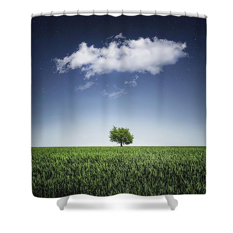Autumn Shower Curtain featuring the photograph A tree covered with cloud by Bess Hamiti