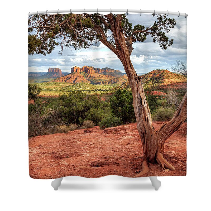 Sedona Shower Curtain featuring the photograph A Tree In Sedona by James Eddy