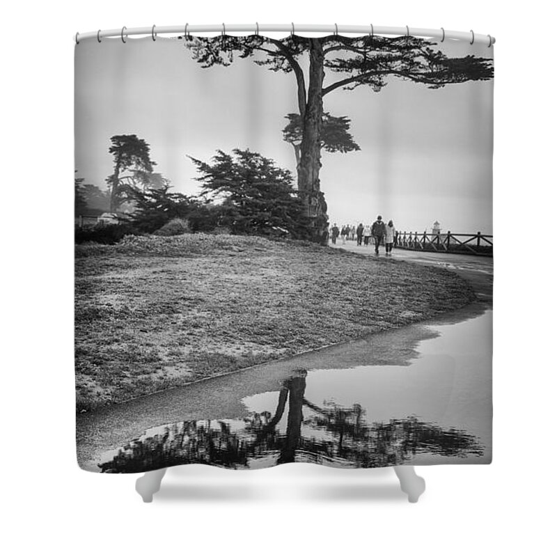 Tree Shower Curtain featuring the photograph A Tree stands tall by Lora Lee Chapman