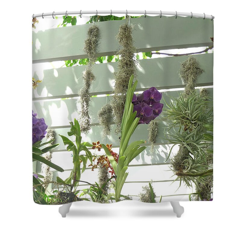 Orchids Shower Curtain featuring the photograph A Trio of Orchids by Margie Avellino