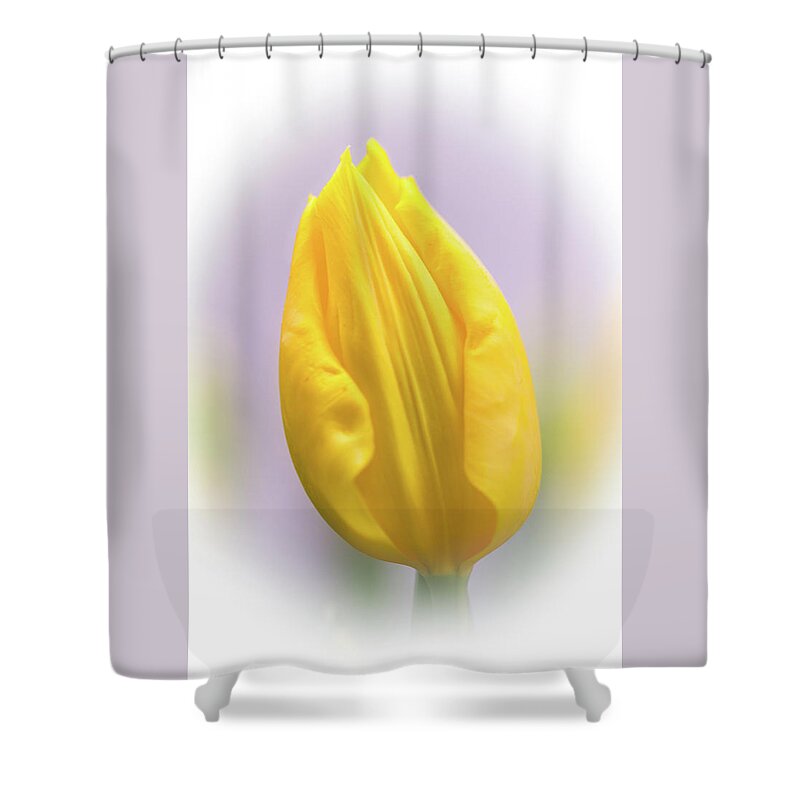 Tulip Shower Curtain featuring the photograph A Tulip in Dandelion Yellow by Carol Senske
