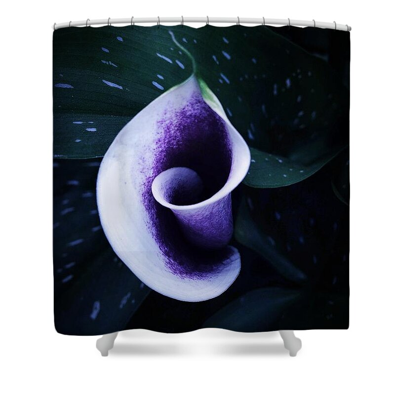 Lily Shower Curtain featuring the photograph A Twist by Kathleen Messmer