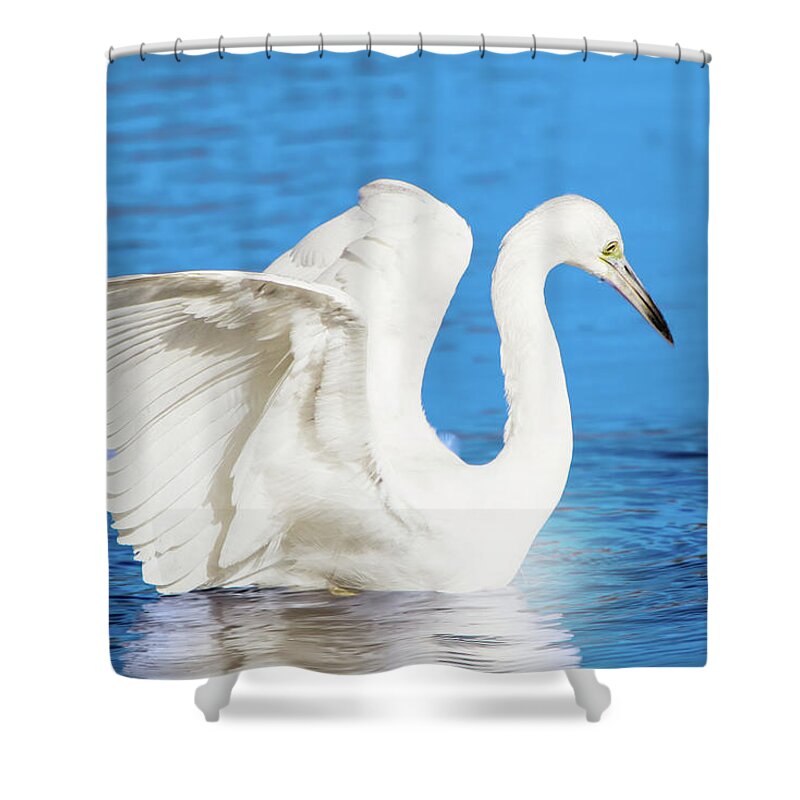 Egret Shower Curtain featuring the photograph A Vision in White by Mark Andrew Thomas