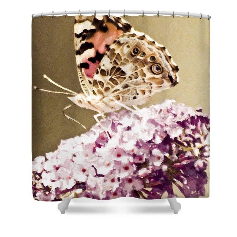 Butterfly Shower Curtain featuring the photograph A Visit From Pat by Trish Tritz