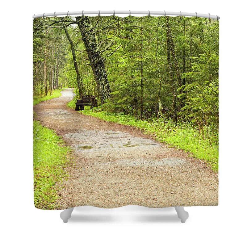 Spring Walk Shower Curtain featuring the photograph A Walk in the Woods by Nancy Dunivin