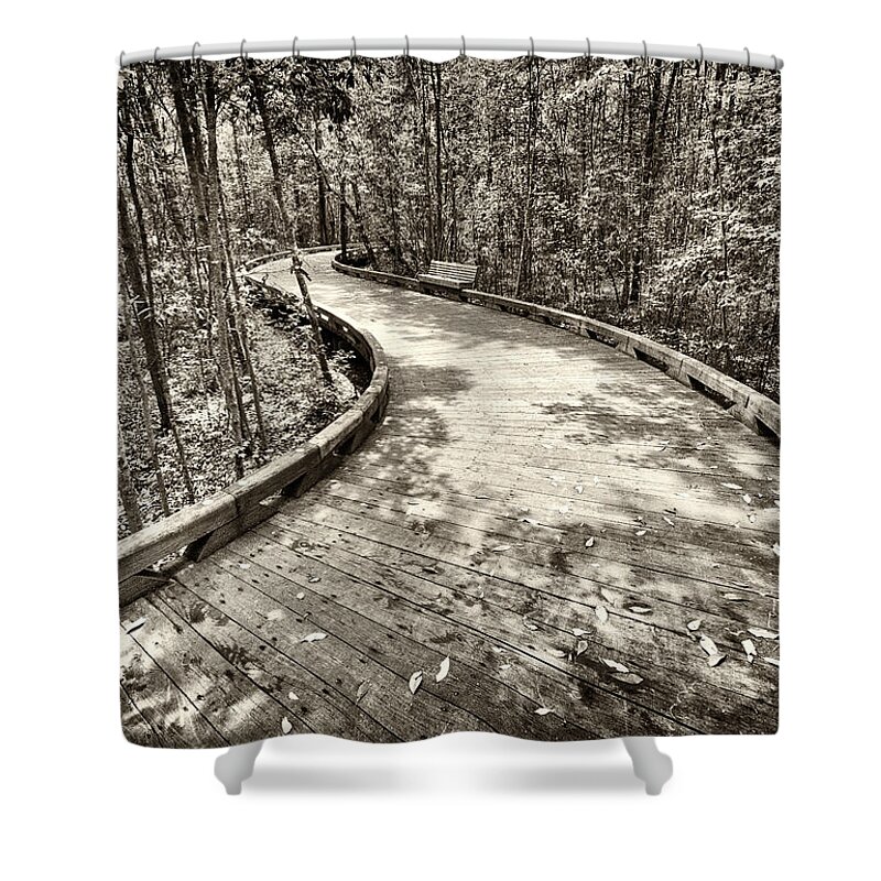 Pathway Shower Curtain featuring the photograph A Walk in the Woods by Paul Schreiber