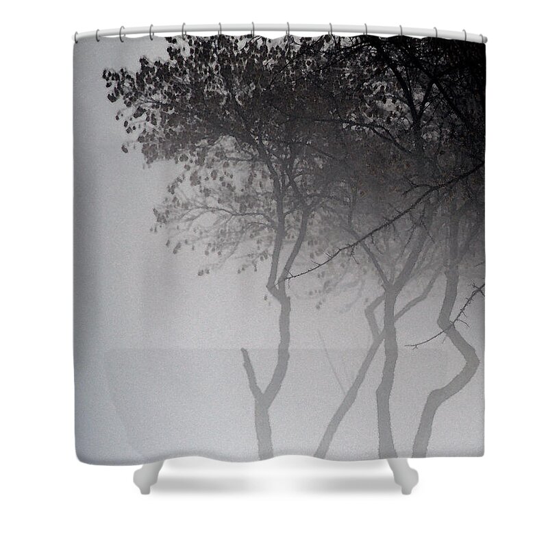 Trees Shower Curtain featuring the photograph A Walk Through The Mist by Linda Shafer