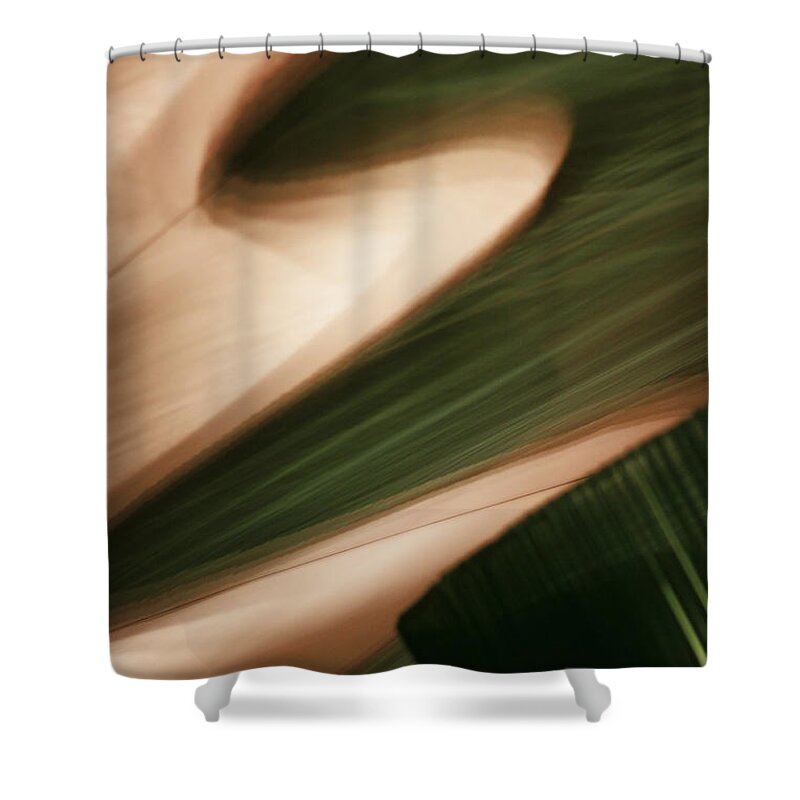 Abstract Shower Curtain featuring the photograph A Walk Through The Renaissance by Linda Shafer