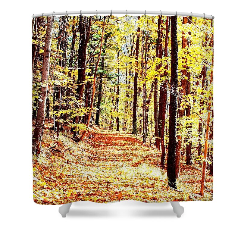 Autumn Shower Curtain featuring the photograph A Yellow Wood by Joshua House