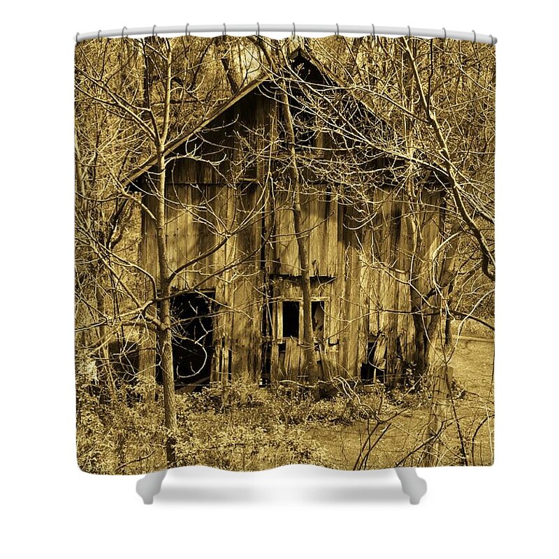 Barn Shower Curtain featuring the digital art Abandoned Barn in Woods by Robert Habermehl