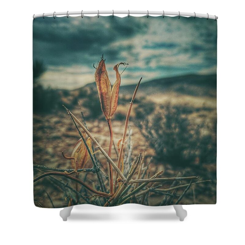 Southwest Shower Curtain featuring the photograph Remain by Mark Ross