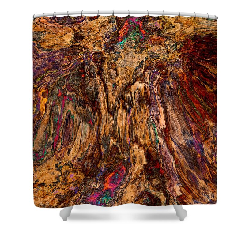  Shower Curtain featuring the digital art Abstract 013116 by Matthew Lindley