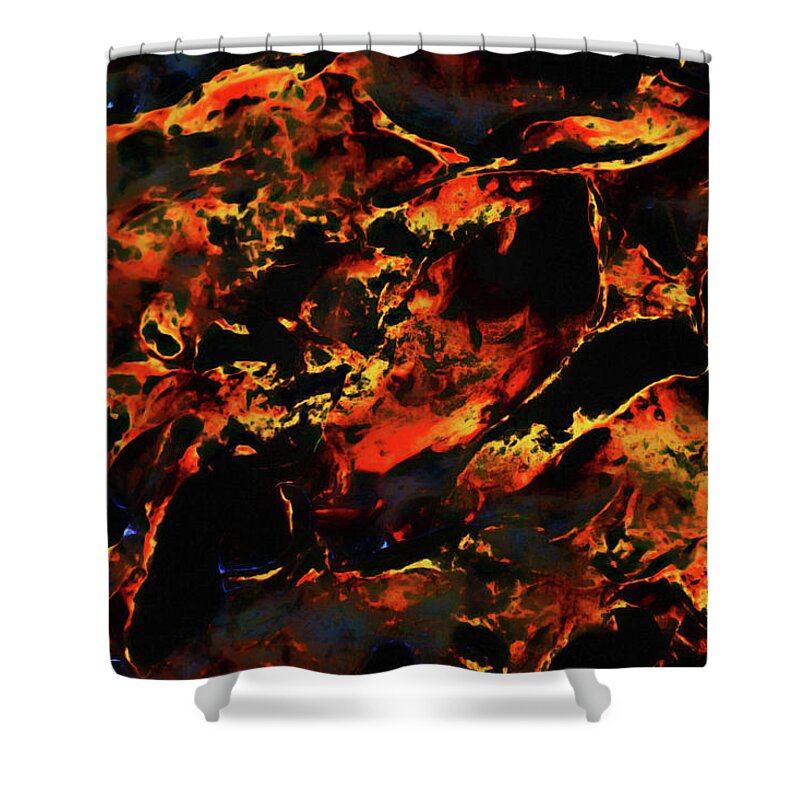 Abstract Shower Curtain featuring the photograph Abstract Coquina by Gina O'Brien