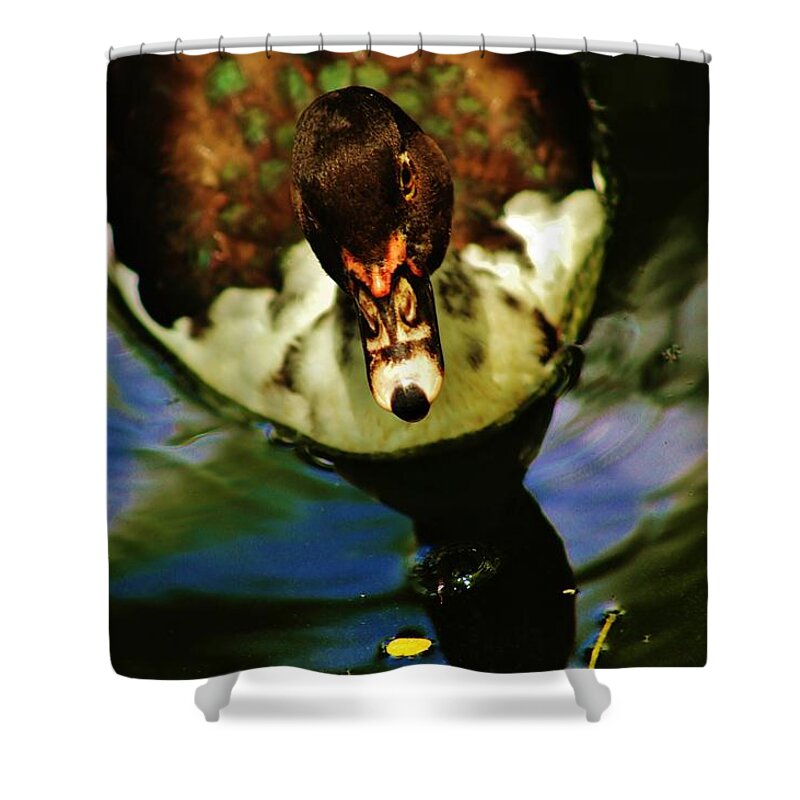 Duck Shower Curtain featuring the photograph Abstract Duck by Craig Wood